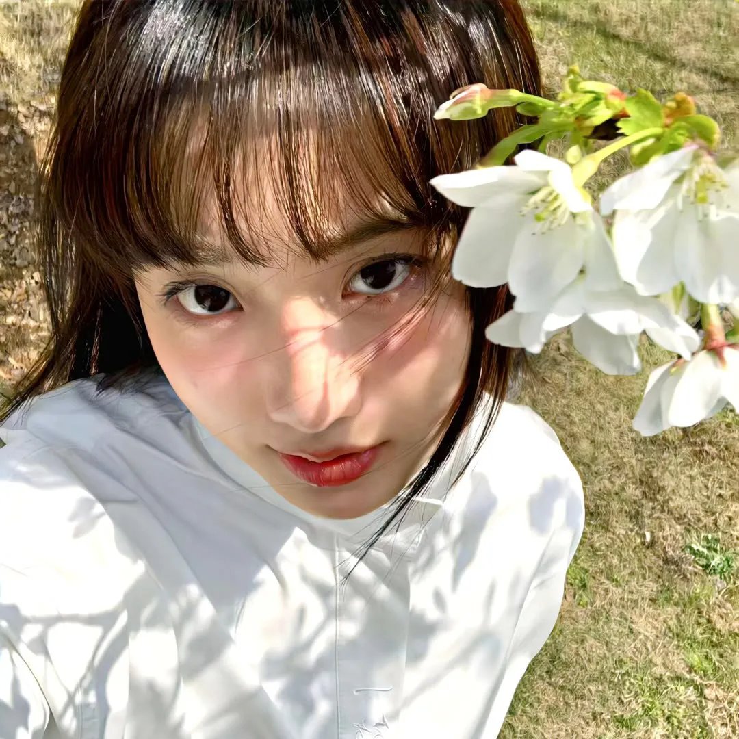 阿拉斯加的冒险者